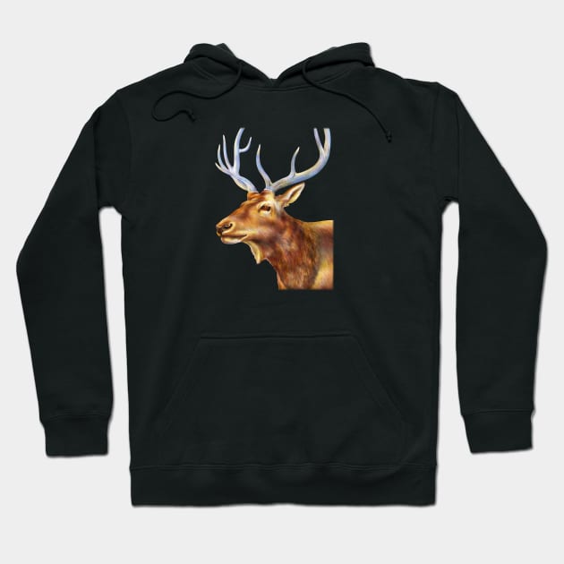 Elk Hoodie by Tim Jeffs Art